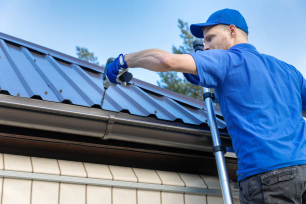 Best Roof Moss and Algae Removal  in Inkster, MI