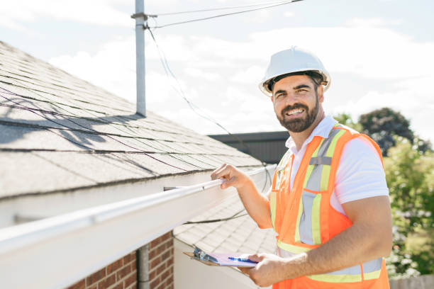 Best Solar Panel Roofing Installation  in Inkster, MI