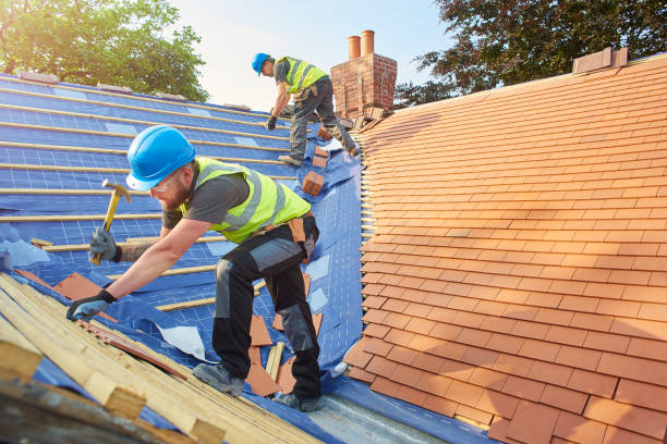 Best Gutter Installation and Repair  in Inkster, MI
